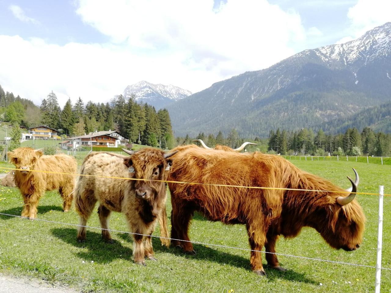 Camping Lechtal Vorderhornbach Εξωτερικό φωτογραφία