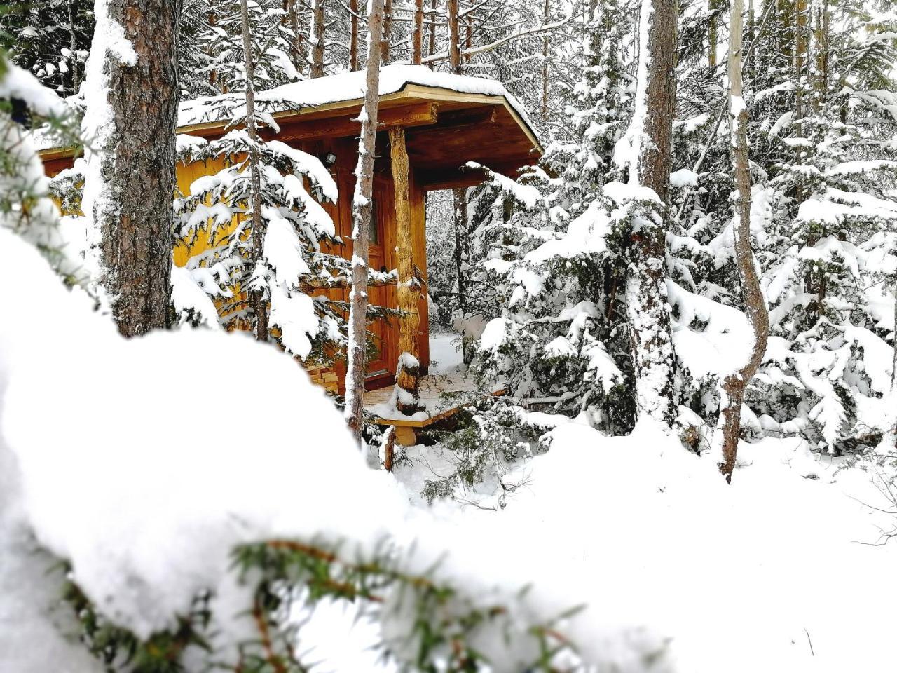 Camping Lechtal Vorderhornbach Εξωτερικό φωτογραφία